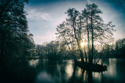 Trees by lake against sky during sunset