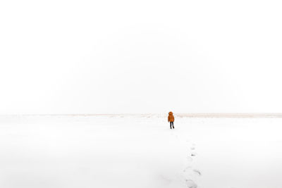 Boy walking through the snow to an open field in the country