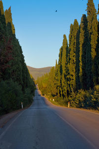 Road amidst trees against clear sky