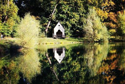 Reflection of trees in lake