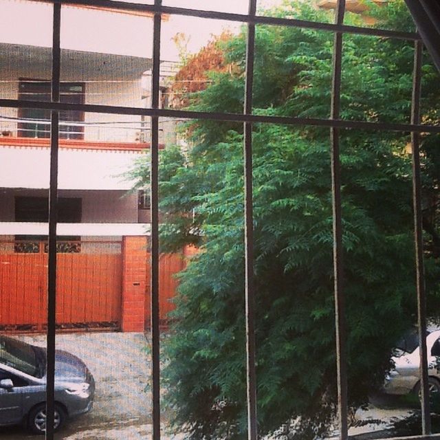 window, architecture, built structure, tree, glass - material, building exterior, green color, transparent, transportation, day, growth, indoors, house, car, no people, land vehicle, reflection, building, plant