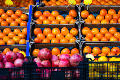 Rows of ripe persimmons, pomegranates and lemons in wooden boxes at a farmers market