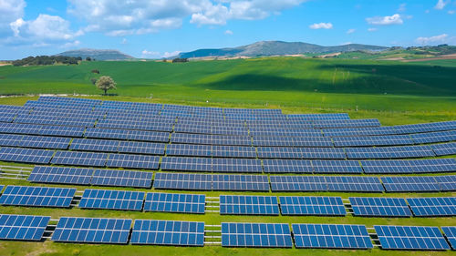 Scenic view of agricultural field