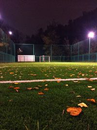 View of illuminated street lights in park at night