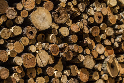 Full frame shot of logs in forest