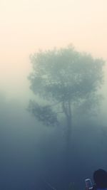 fog