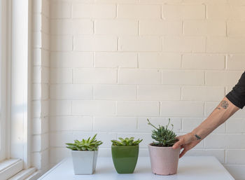 Hand holding potted plant against wall