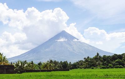 Scenic view of green landscape against sky