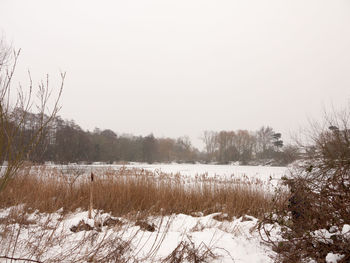 Snow covered field against clear sky