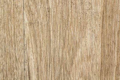 Close-up of wooden plank