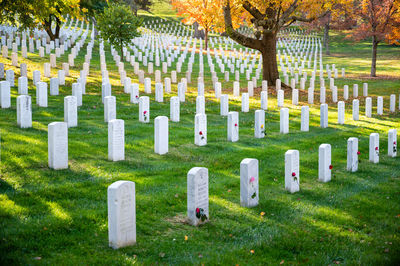 View of cross in cemetery