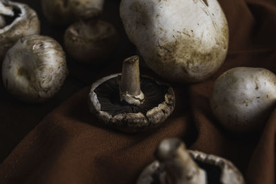 Close-up of mushrooms on table