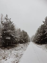 Road amidst trees against clear sky during winter