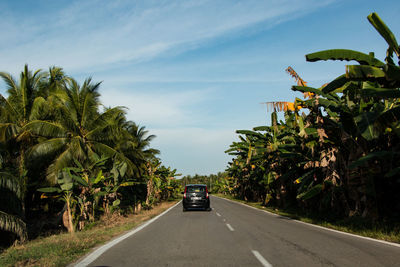 Road amidst trees against sky