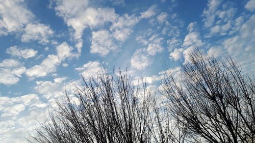 Low angle view of bare tree against sky