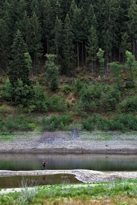 View of a fisherman in front of stream amidst trees in forest