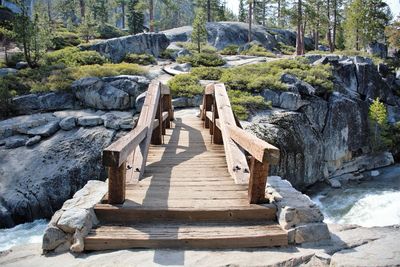 Staircase leading towards forest