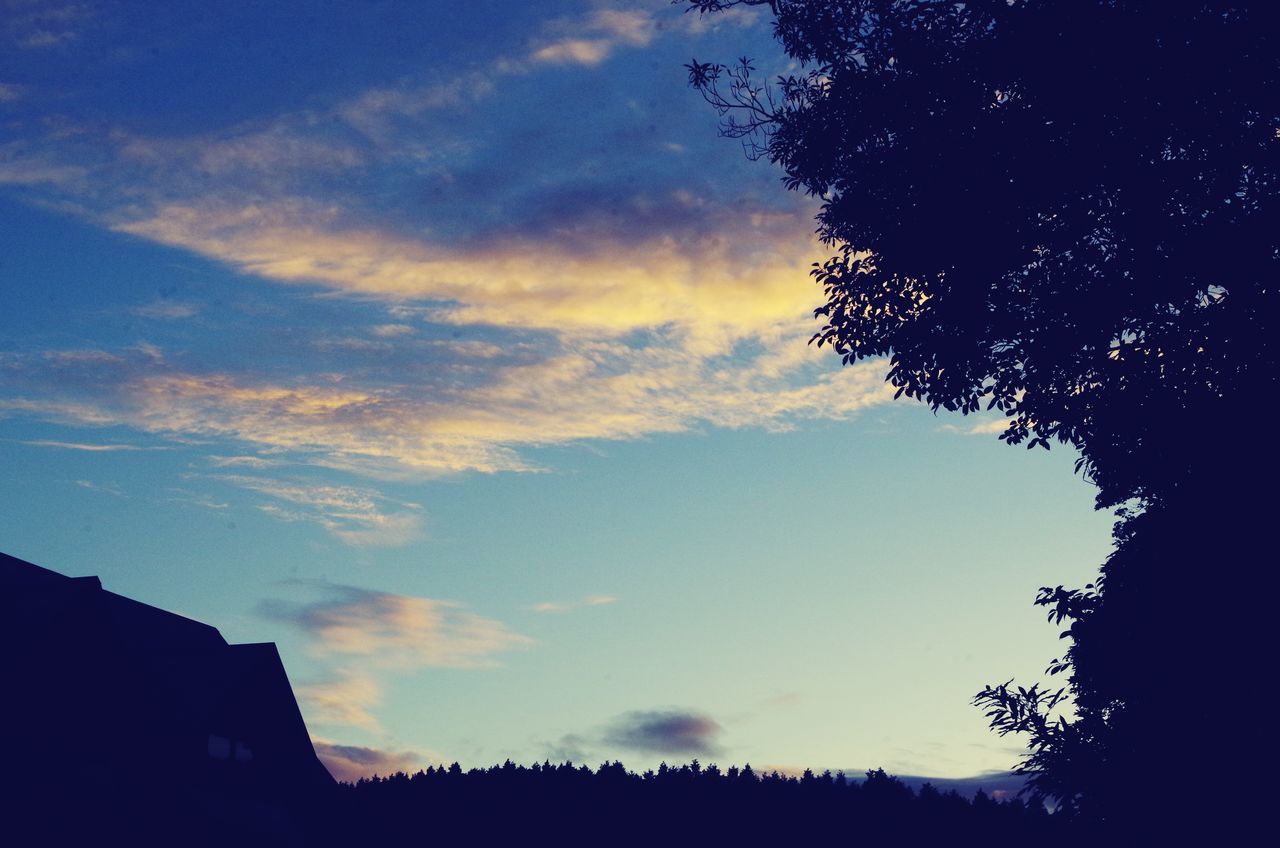 silhouette, low angle view, tree, sky, sunset, building exterior, cloud - sky, built structure, nature, beauty in nature, blue, cloud, architecture, dusk, tranquility, growth, outdoors, scenics, high section, branch