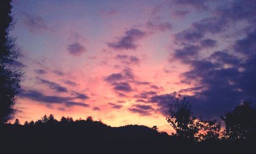 Silhouette trees against scenic sky