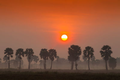 Silhouette trees on field against orange sky