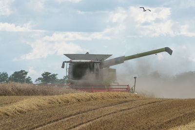 Agricultural field against sky