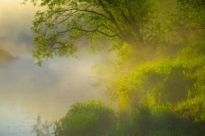 Beautiful foggy spring morning landscape of a river with grass growing in the foreground.