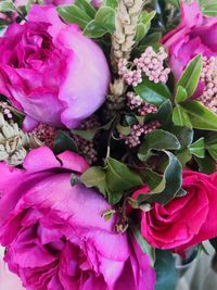 High angle view of pink flowering plant