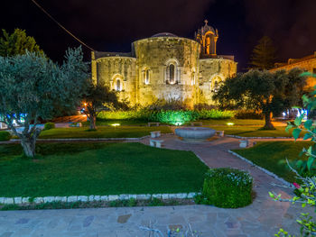 Trees and plants in front of illuminated building