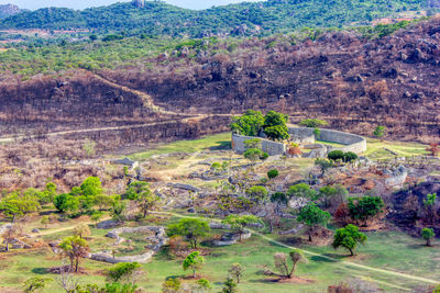 High angle view of trees on landscape