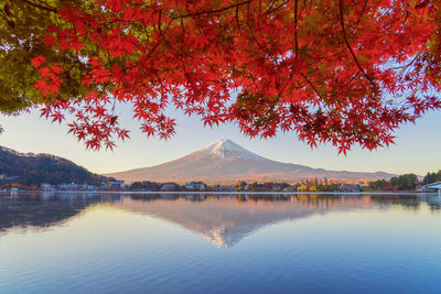 Scenic view of lake by trees against sky