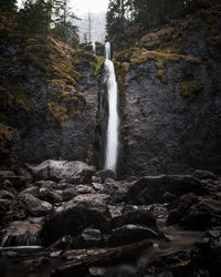 Scenic view of waterfall in forest