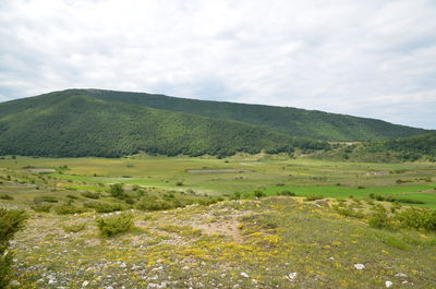 Scenic view of landscape against sky