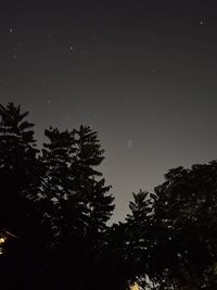 Low angle view of silhouette trees against sky at night