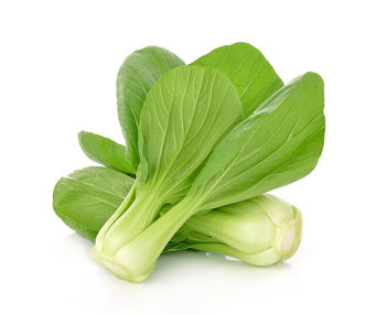 Close-up of green leaf against white background