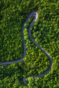 High angle view of agricultural field