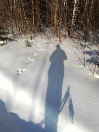 Shadow of person on snow covered field