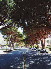 Empty road along trees