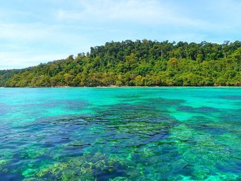 Scenic view of sea against sky