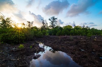 Scenic view of land against sky