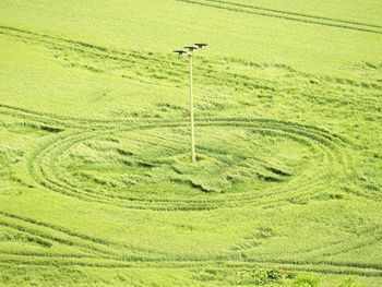 High angle view of green field