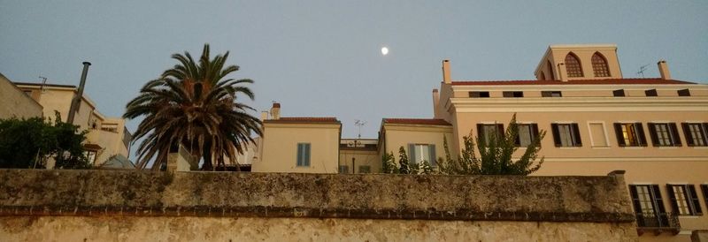 Low angle view of palm trees and building against sky