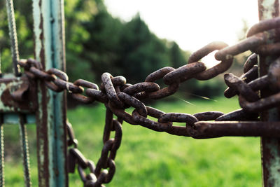Close-up of chain on metal gate