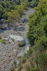 River flowing through rocks in forest