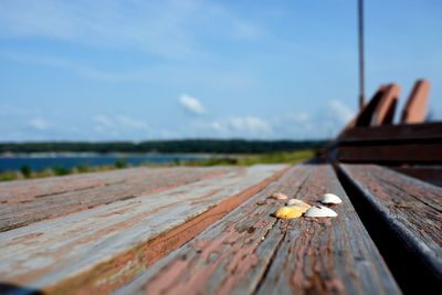 Close-up of wood against sky