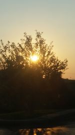 Silhouette trees against clear sky during sunset