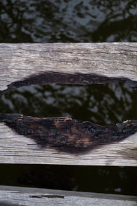 Close-up of wooden log on lake