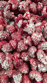 Full frame shot of pink berries