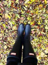 Low section of person wearing shoes on leaves