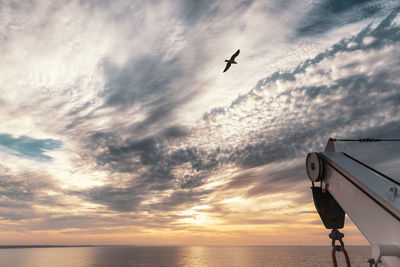 Bird flying over sea against sky during sunset