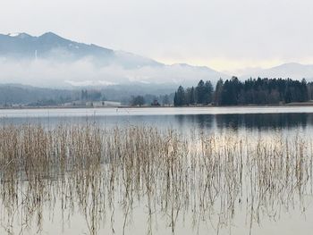 Scenic view of lake by mountains against sky